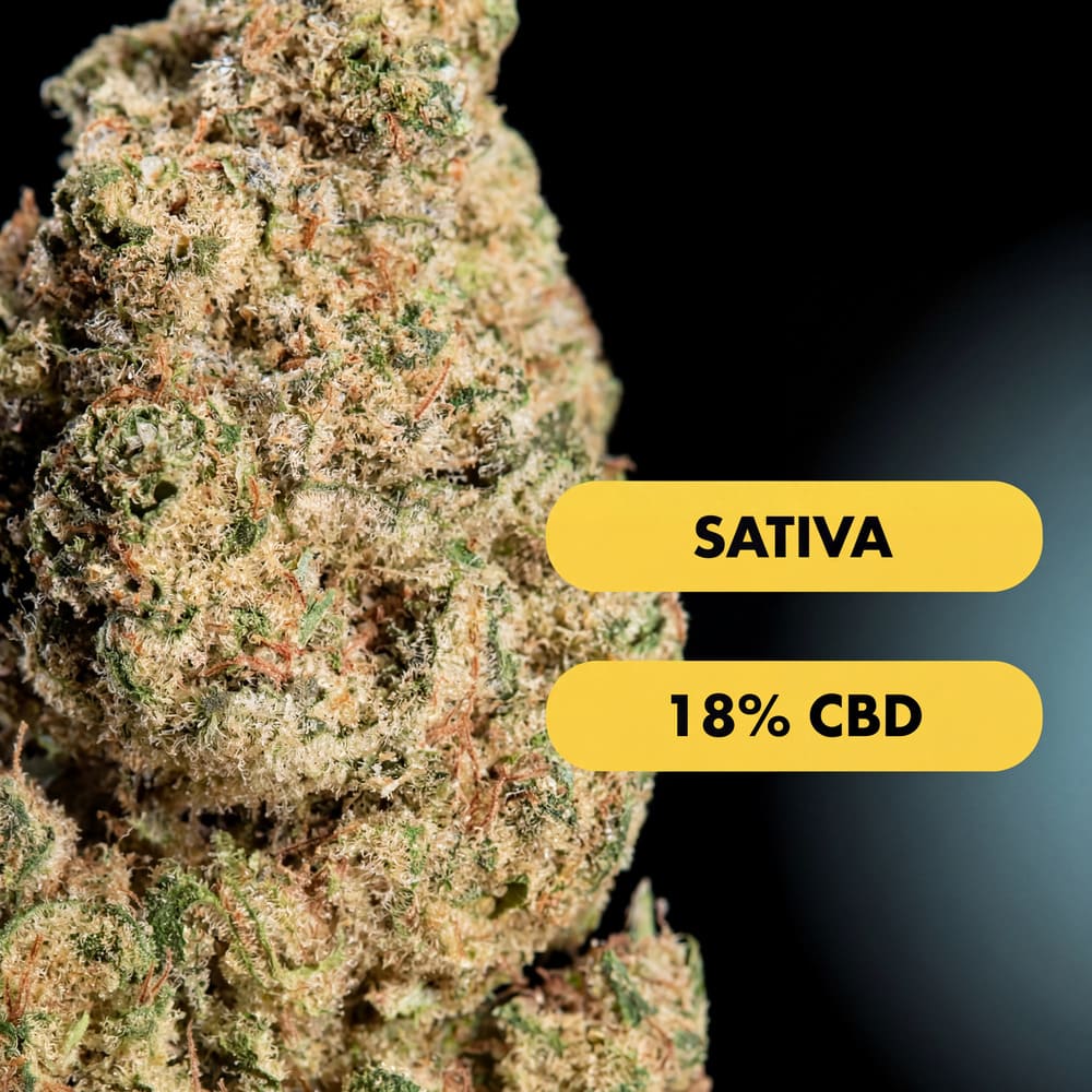 OnlyGrams Frosty CBD Aromablüten 18 Prozent 1g Nahaufnahme