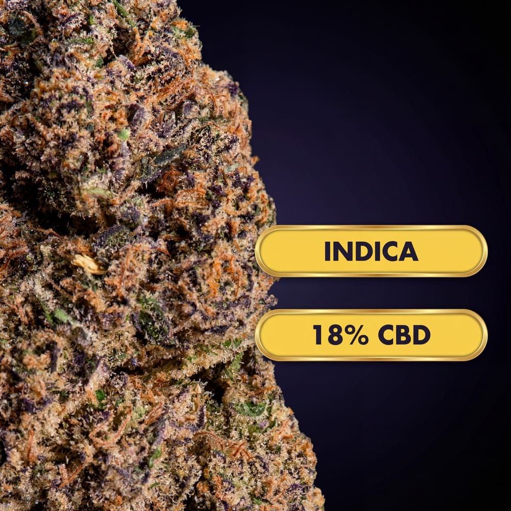 OnlyGrams Purple Fuel CBD Aromablüten 18 Prozent 1g Nahaufnahme