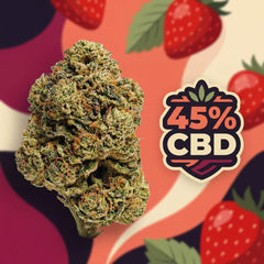 avibes Strawberry CBD Blüten 45 Prozent 1g Nahaufnahme