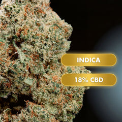 OnlyGrams The White CBD Aromablüten 18 Prozent 1g Nahaufnahme