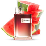 Elfbar CR600 | Watermelon - Smoke & Co.