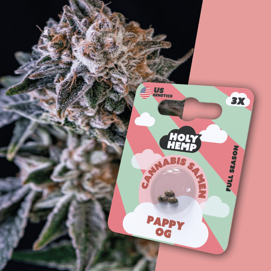 Cannabis Samen | Pappy OG | Cali Seeds by Holy Hemp - Smoke & Co.