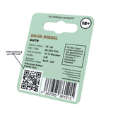 Cannabis Samen | Sour Diesel | Cali Seeds by Holy Hemp - Smoke & Co.