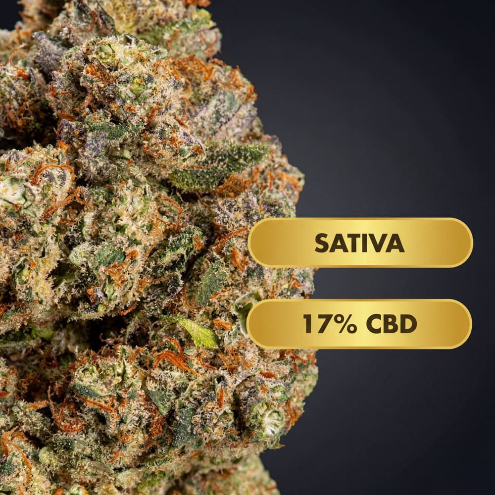 OnlyGrams Cherry Pie CBD Aromablüten 17 Prozent 1g Nahaufnahme