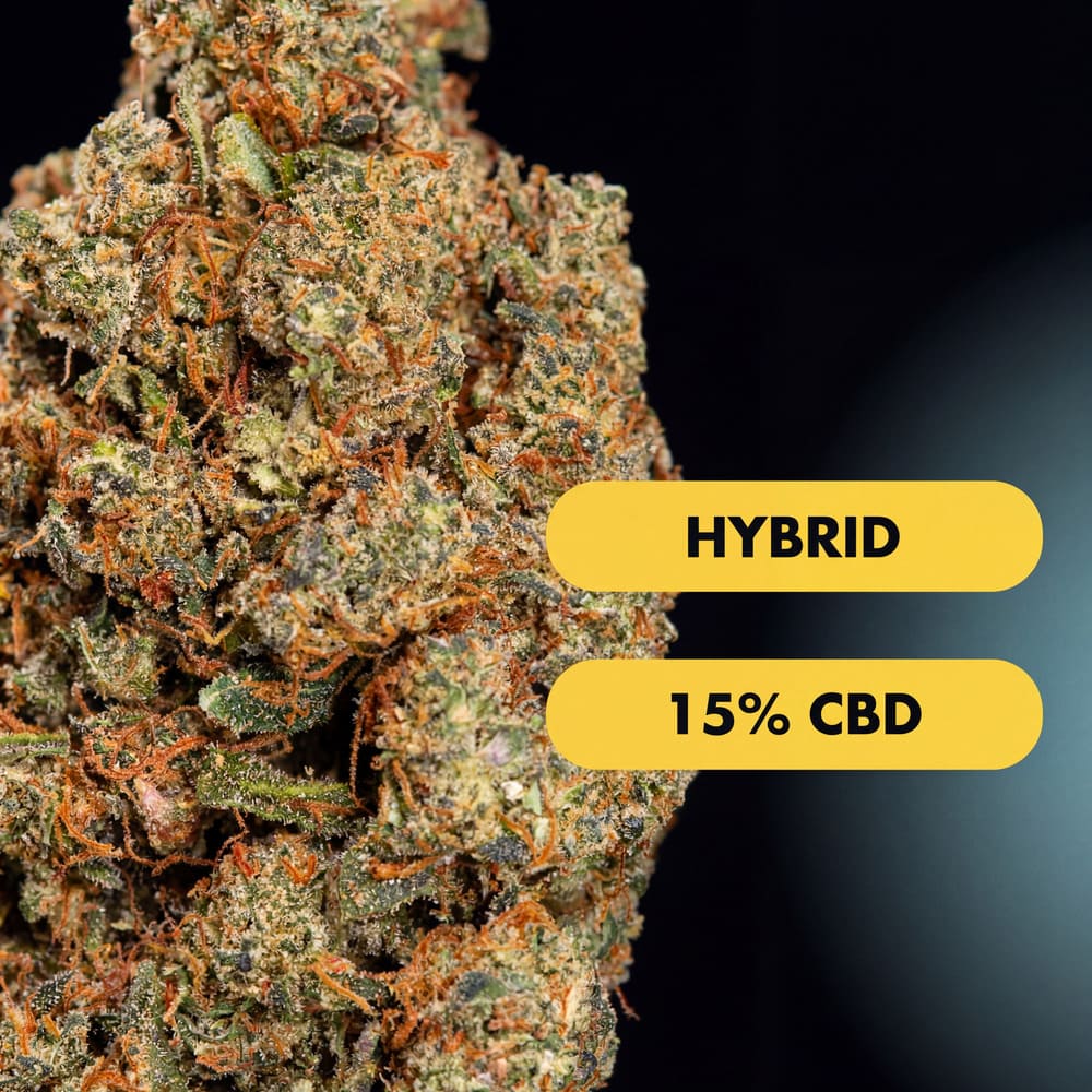OnlyGrams Fruit Storm CBD Aromablüten 15 Prozent 1g Nahaufnahme