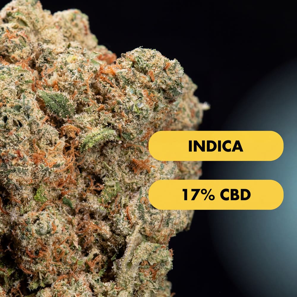 OnlyGrams OG Cookies CBD Aromablüten 17 Prozent 1g Nahaufnahme