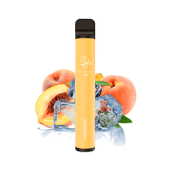 Elfbar 600 - Peach Ice