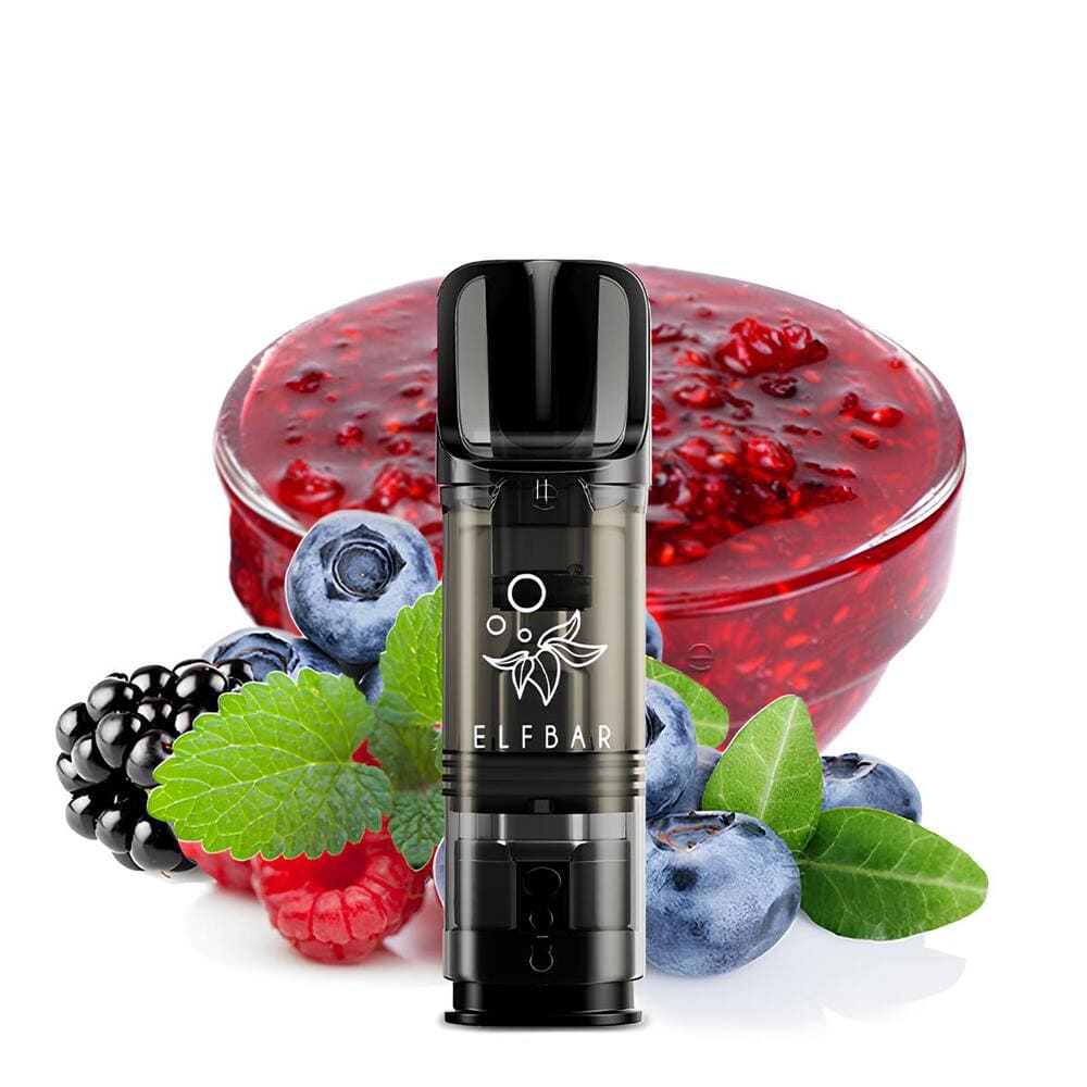 Elfbar ELFA Pods Blueberry Snoow | 2er Pack