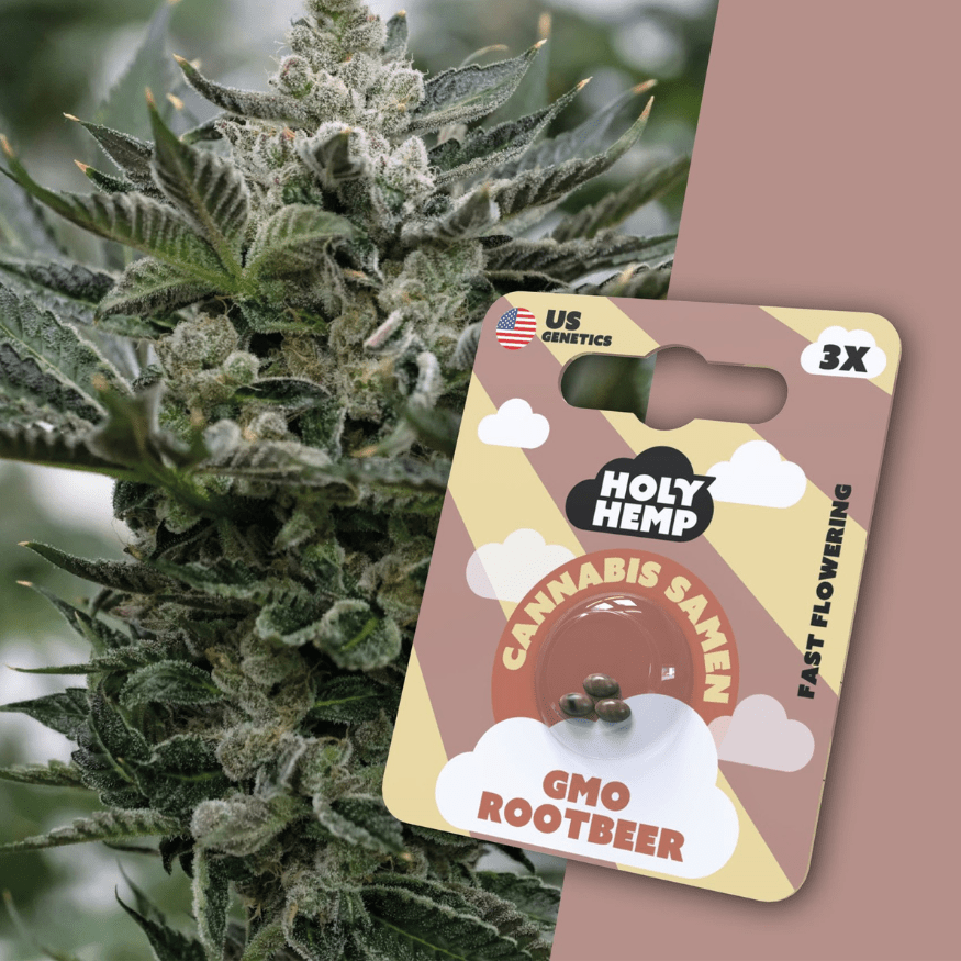 Cannabis Samen | GMO Rootbeer | Cali Seeds by Holy Hemp - Smoke & Co.