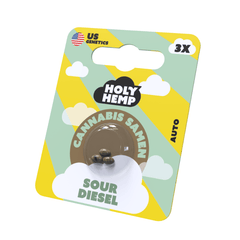 Cannabis Samen | Sour Diesel | Cali Seeds by Holy Hemp